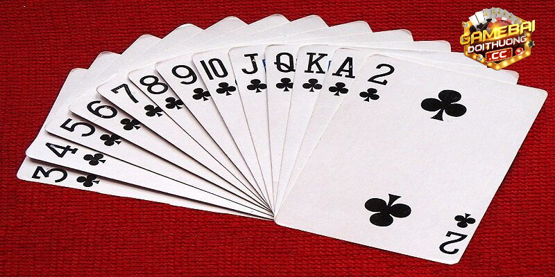 Bạn đã biết cách chơi tú lơ khơ là gì chưa?